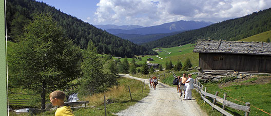 Pension Moarhof in Terenten South Tyrol