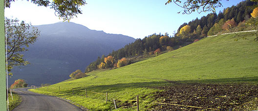 Pension Moarhof in Terenten Südtirol